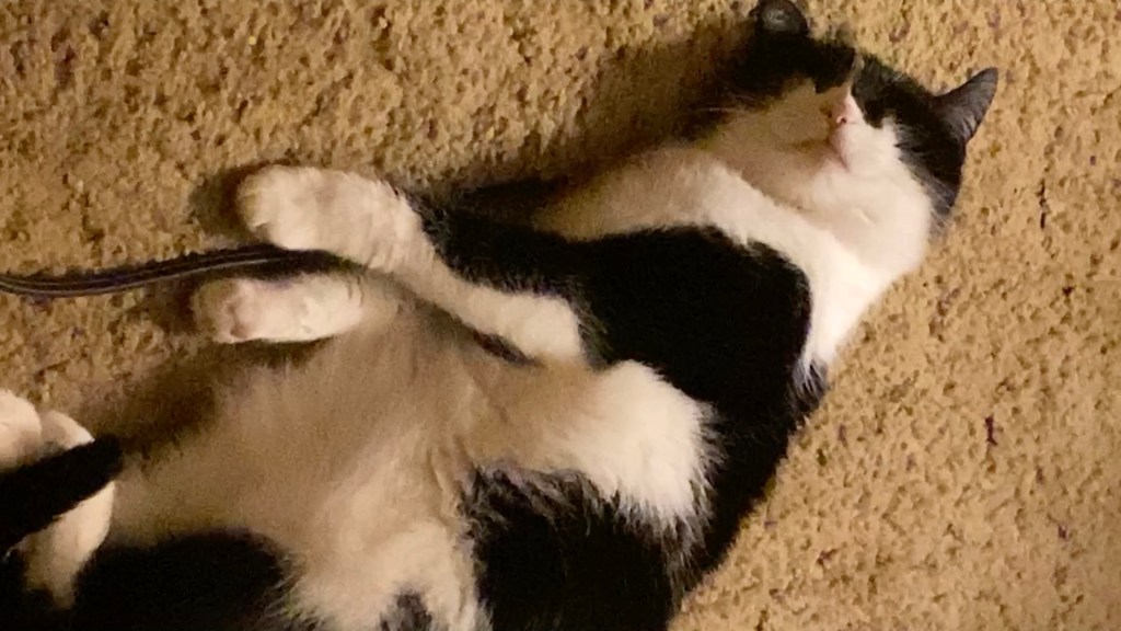 A word on&nbsp;productivity