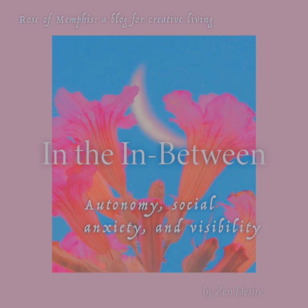 In the In-Between: autonomy, social anxiety, and&nbsp;visibility